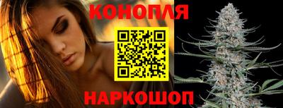 прущие грибы Малоярославец