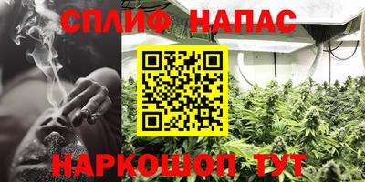 прущие грибы Малоярославец