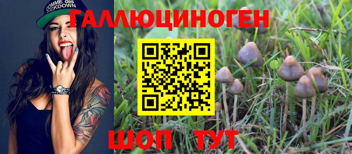 Галлюциногенные грибы ЛСД Волгодонск