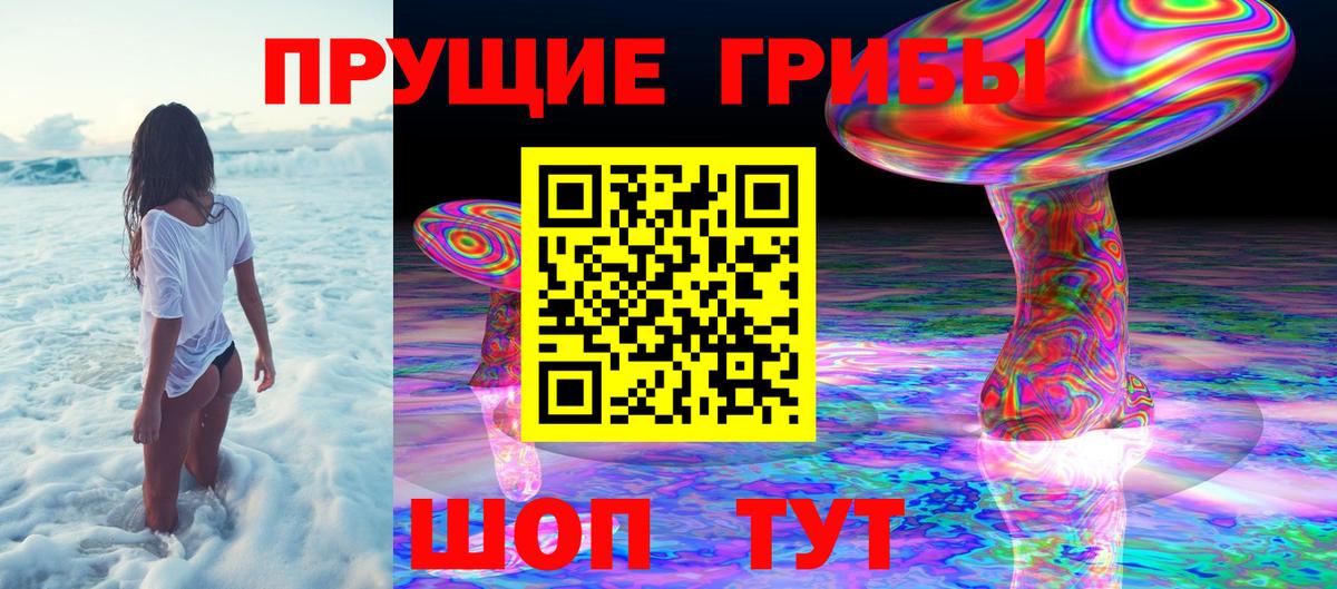 Волгодонск  Галлюциногенные грибы Cubensis  Вход с VPN 